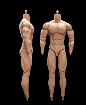 1:6 Scale Male Figure Body, Standard Muscle Joint Body 23.5cm - 27.5cm Male Soldier Action Figure Articulate Body Fit 12Inch Doll Without Head Sculpt (23-BD006)
