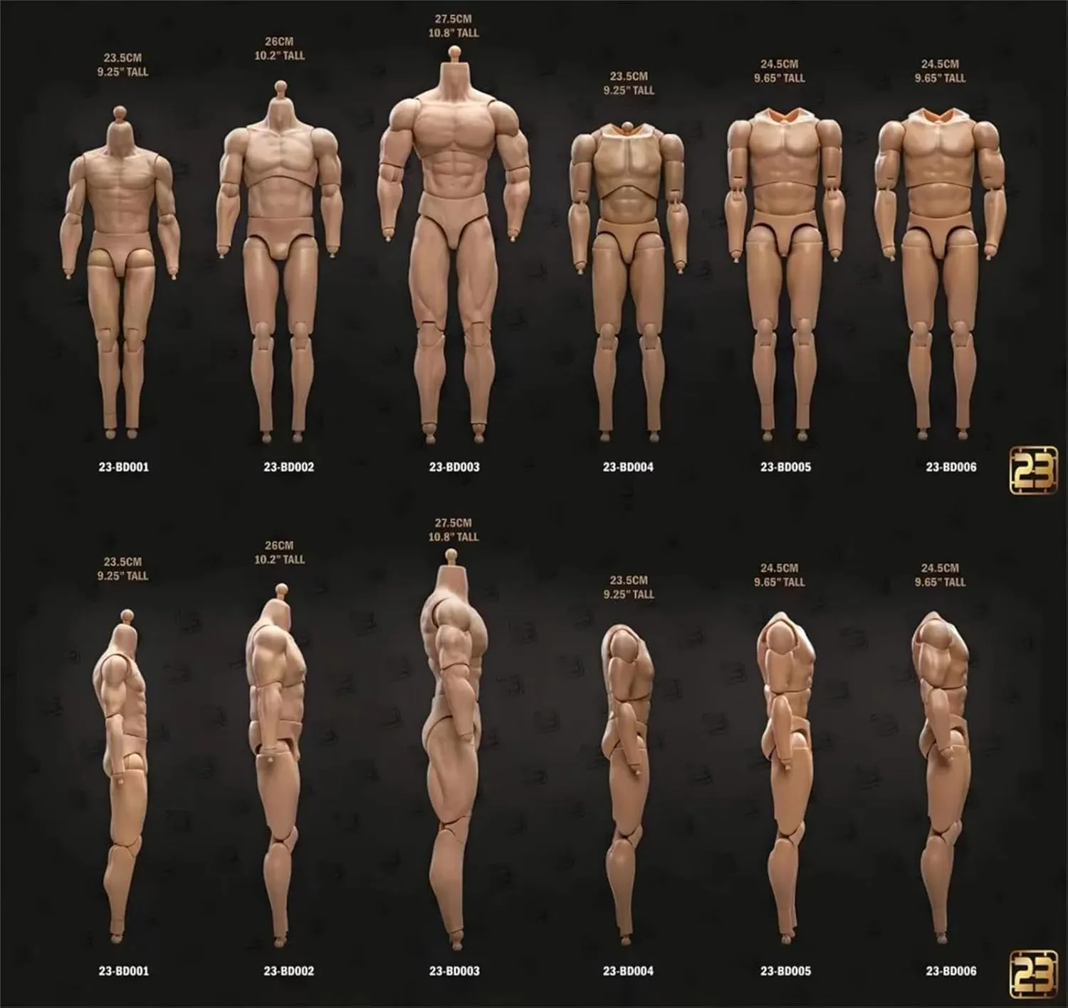 1:6 Scale Male Figure Body, Standard Muscle Joint Body 23.5cm - 27.5cm Male Soldier Action Figure Articulate Body Fit 12Inch Doll Without Head Sculpt (23-BD006)