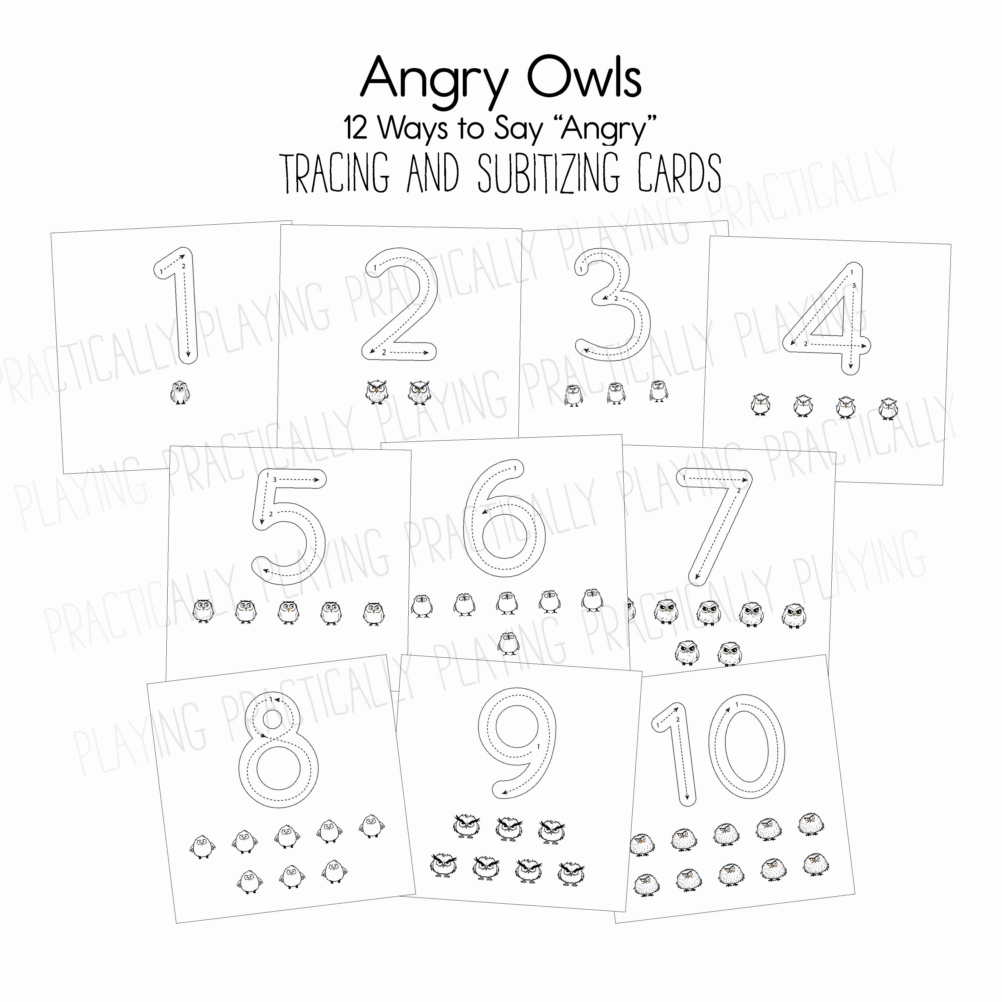 Angry Owls Puzzle and Math Pack Puzzle and Math Pack