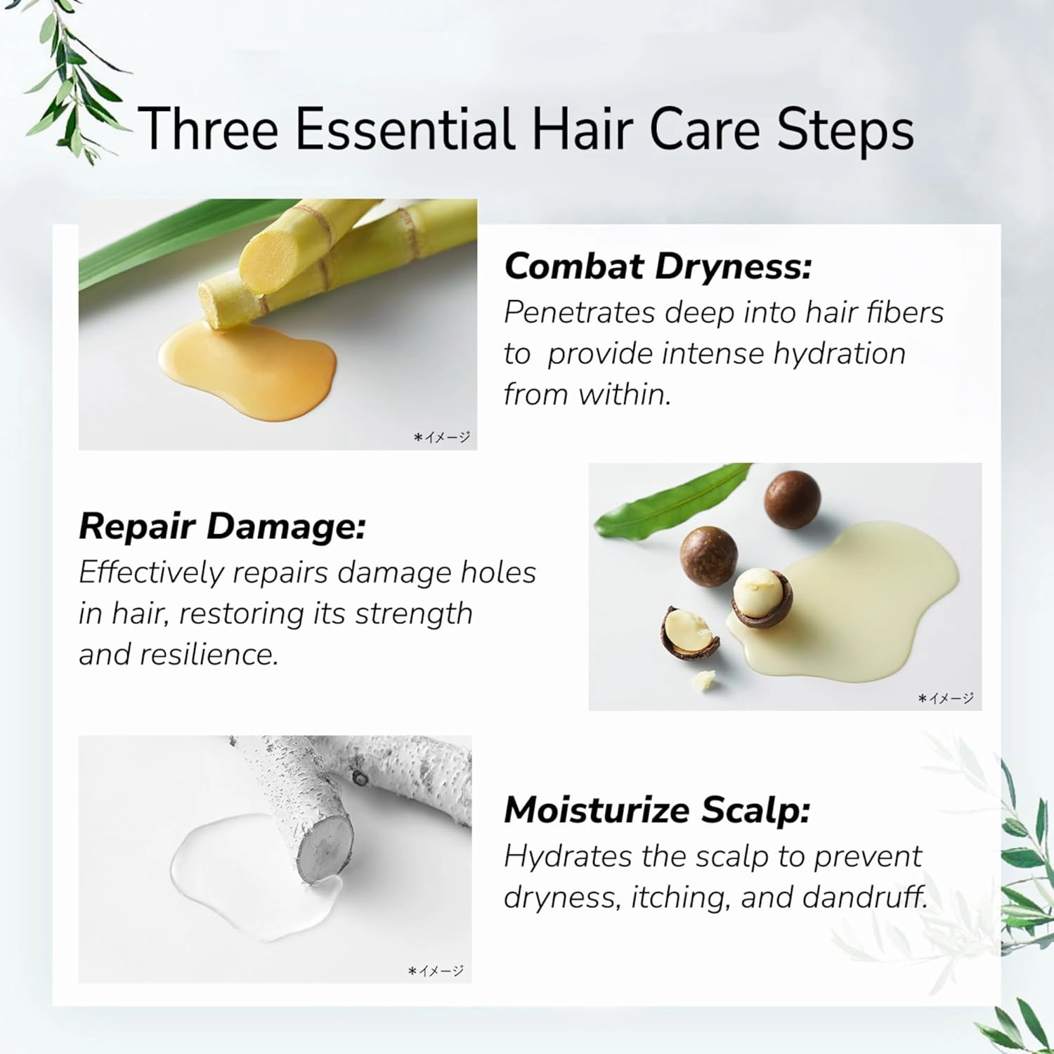 Body Wash & Shampoo Set, Cleasing Gel & Hydrating Shampoo Set, Shea Butter Body Soap & Frizz Control with Macadamia Nut Oil, Smooth & Tangle-Free Hair, Sulfate,Paraben & Dye-Free, 2EA