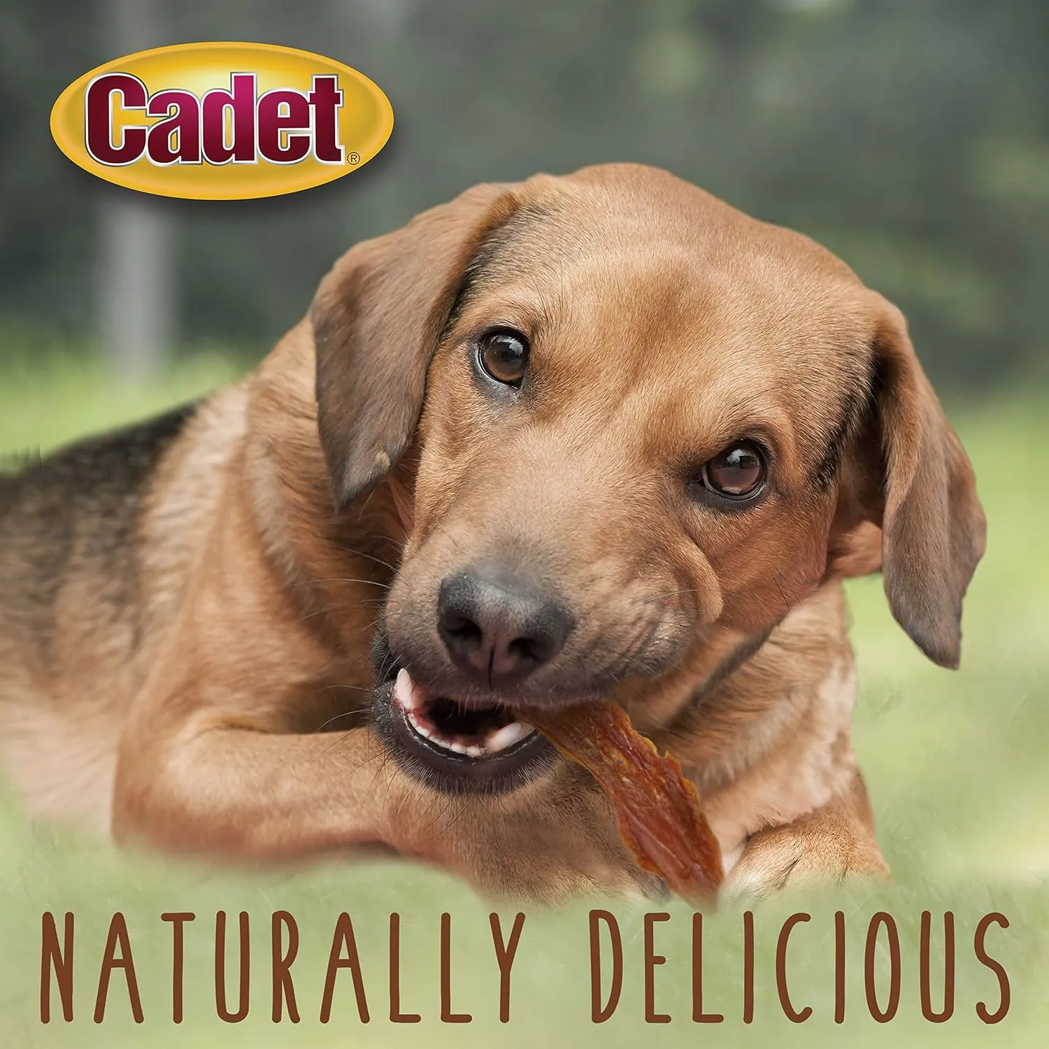Cadet Gourmet Duck Breast Jerky Dog Treats, Healthy, Long-Lasting High-Protein Training Treats for Small & Large Dogs, 40 oz.