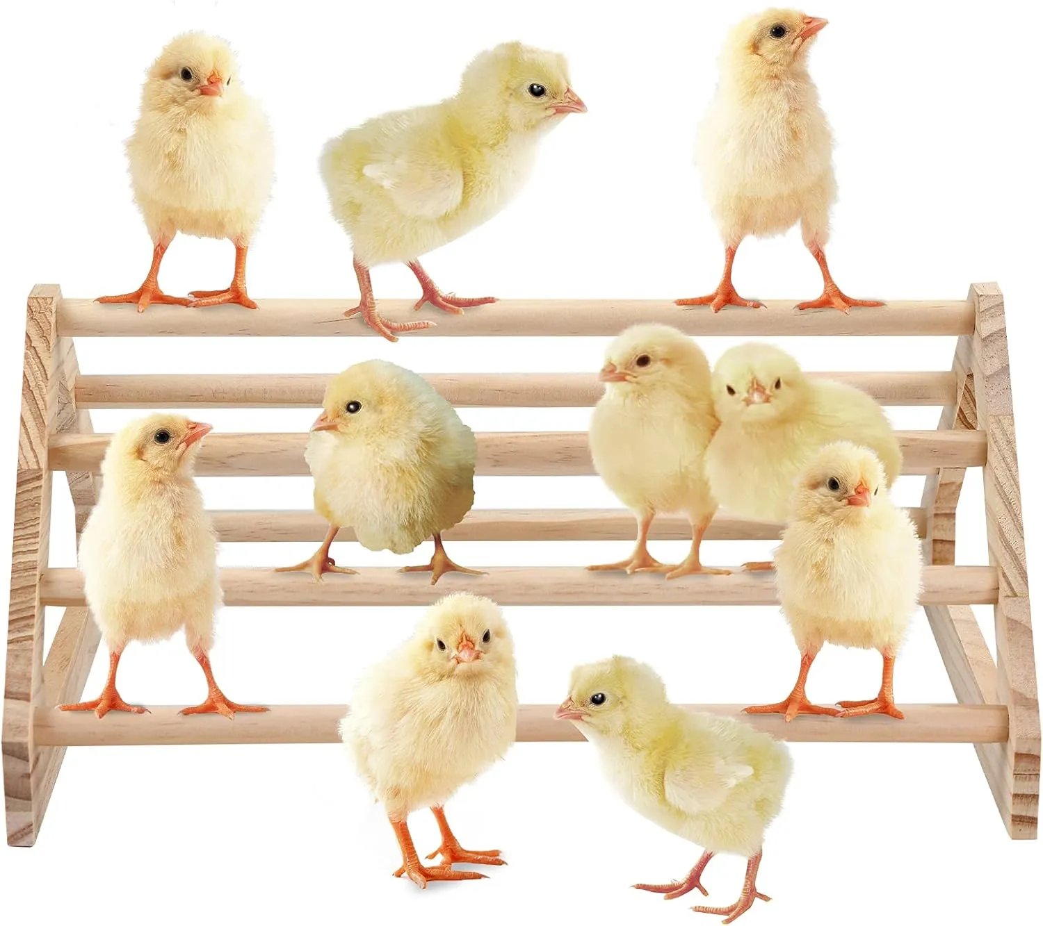 Chicken Perch Jungle Gym Roosting Bar, Pine Wood, Large