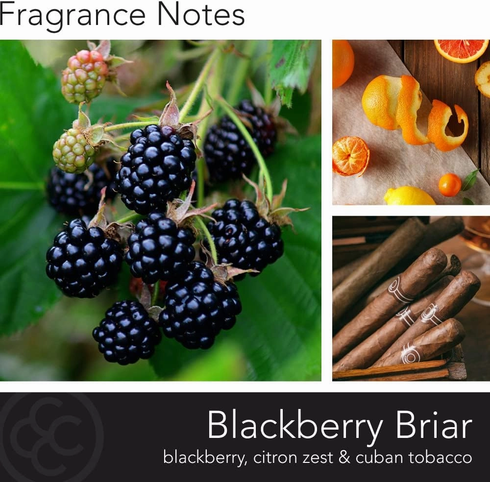 Colonial Candle BlackBerry Briar Scented Jar Candle | 2-Wick Natural Soy Blend Wax Candle for Home | Relaxing Aromatherapy Candle Infused with Essential Oils | M. Baker Apothecary Glass Jar Candle