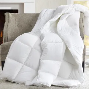 CROSCILL King Comforter, Soft Cotton Comforters Dobby Top Design, Solid Reverse, Box Quilting, Warm Duvet Insert, Lightweight & Breathable Down Alternative Winter Bedding, King/Cal King, White