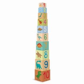 Dinosaur Edu Blocks and Book Set