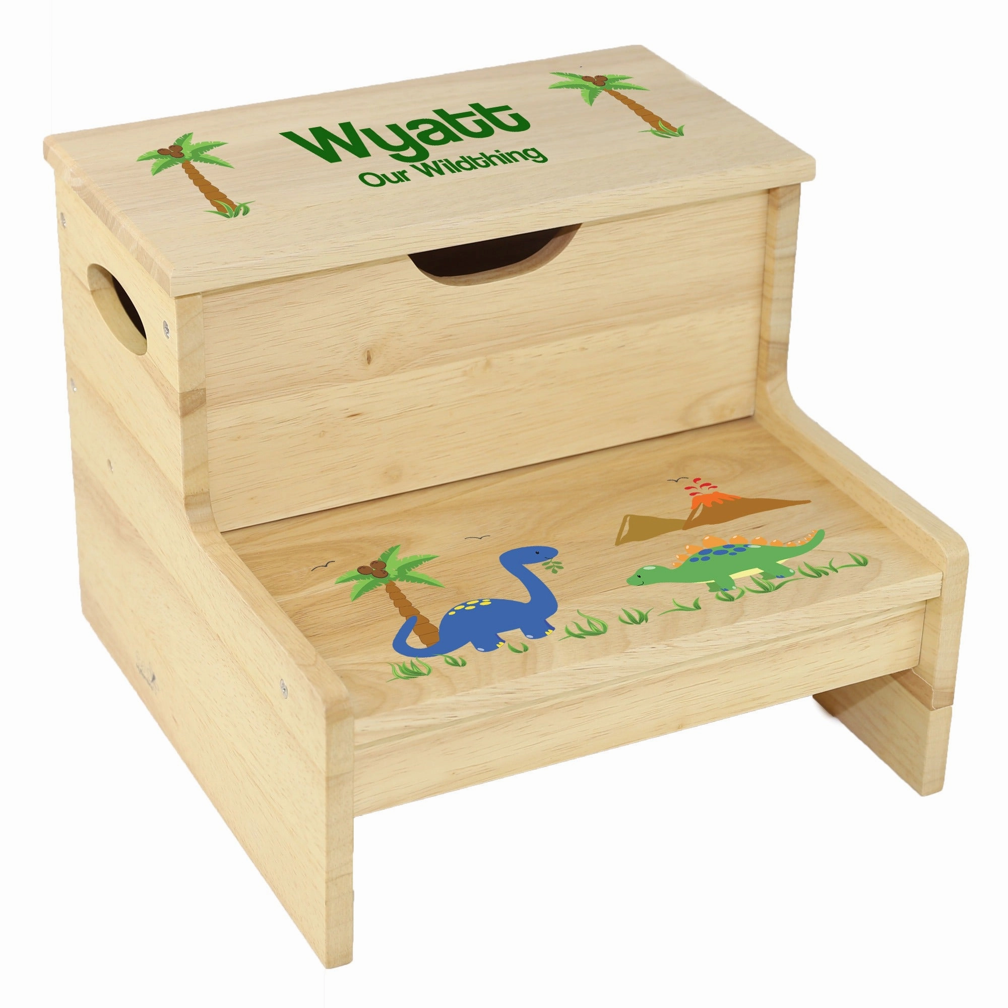 Dinosaur Natural Storage Step Stool