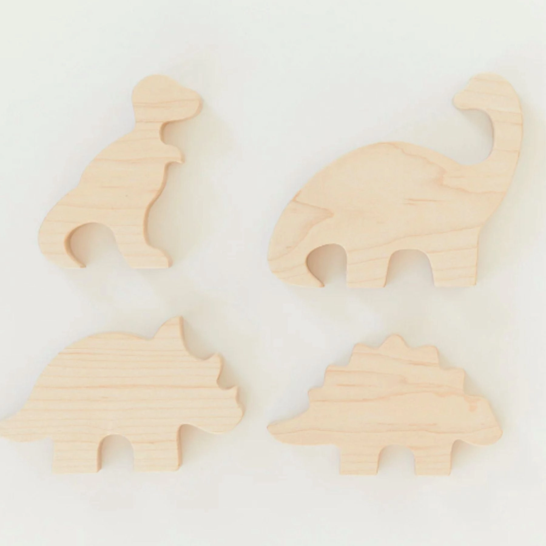 Dinosaur Set