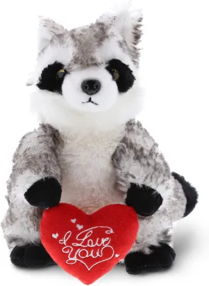DolliBu I Love You Valentine Plush Raccoon - Cute Stuffed Animal with Red Heart and Name Personalization Gift for Valentines Day, Birthday, Anniversary, Romantic Date - 9 Inches