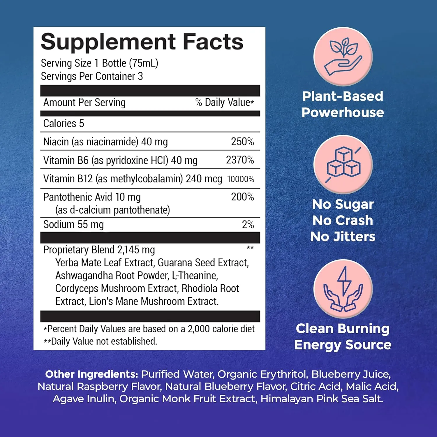 Energy Shots - Healthy Natural Energy Boost | Clean Caffeine from Yerba Mate & Guarana | Ashwagandha & Vitamins for Focus, Clarity & Stress Relief | Sugar-Free, Blue Raspberry 2oz Shot (12-Pack)