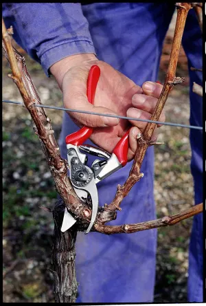 FELCO F-8 Classic Pruner with Comfortable Ergonomic Design (Pack of 4)