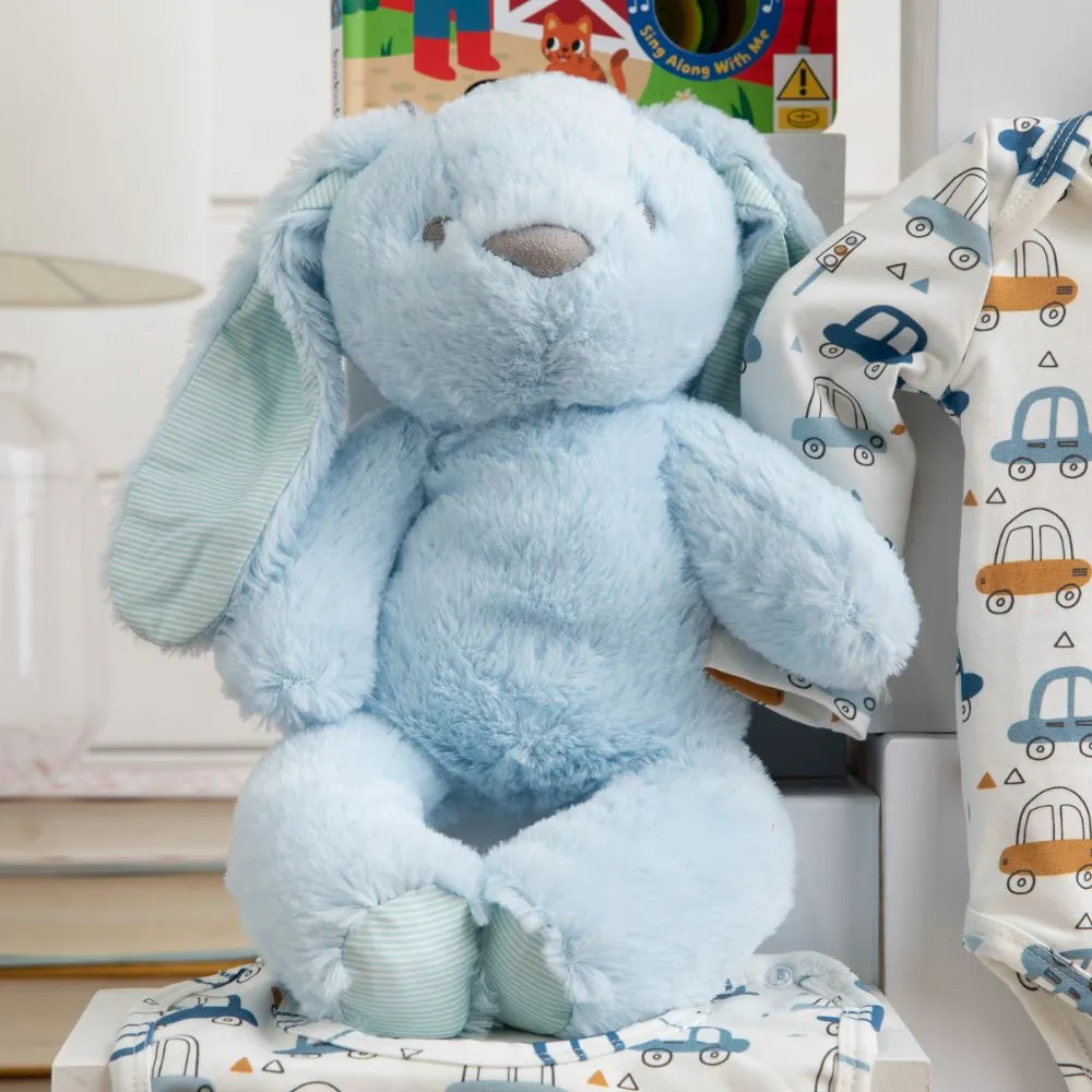 Fluffy Bunny Cuddles Baby Boy Hamper
