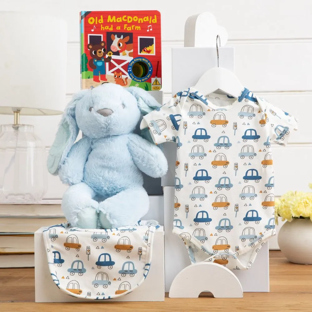 Fluffy Bunny Cuddles Baby Boy Hamper