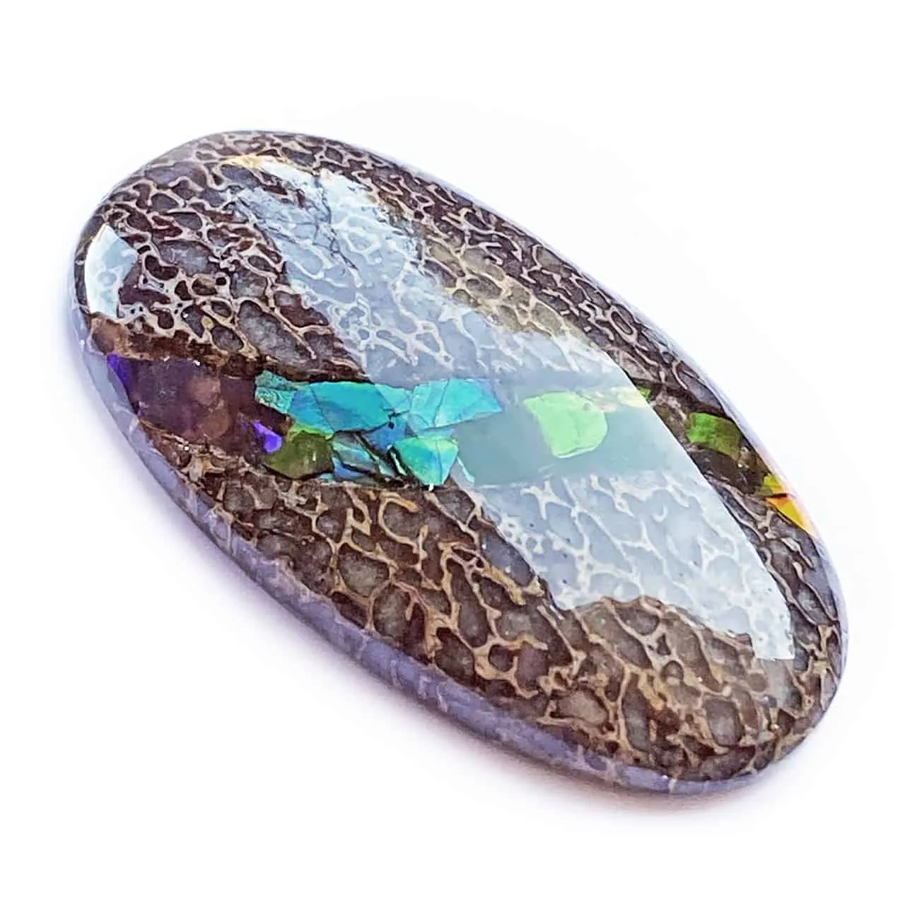 Fossil Dinosaur Bone with Ammolite Inlay Large Cabochon 40mm - 1 piece