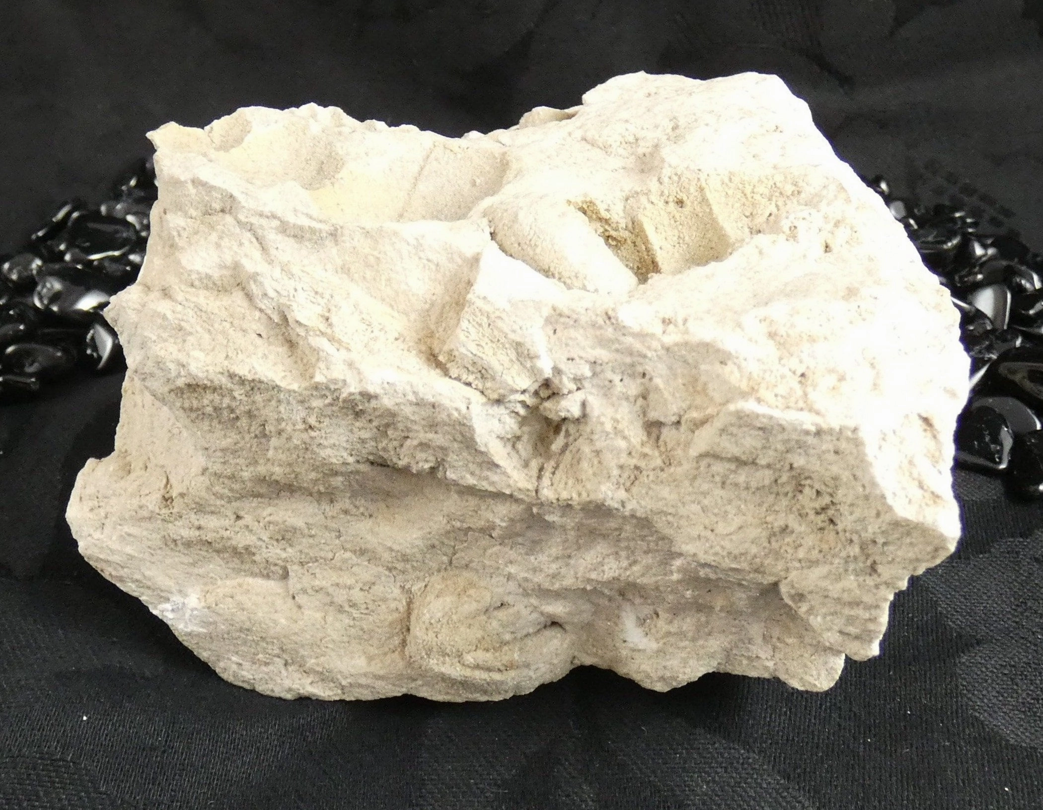 Fossilized Shells & Imprints in Crystallized Matrix