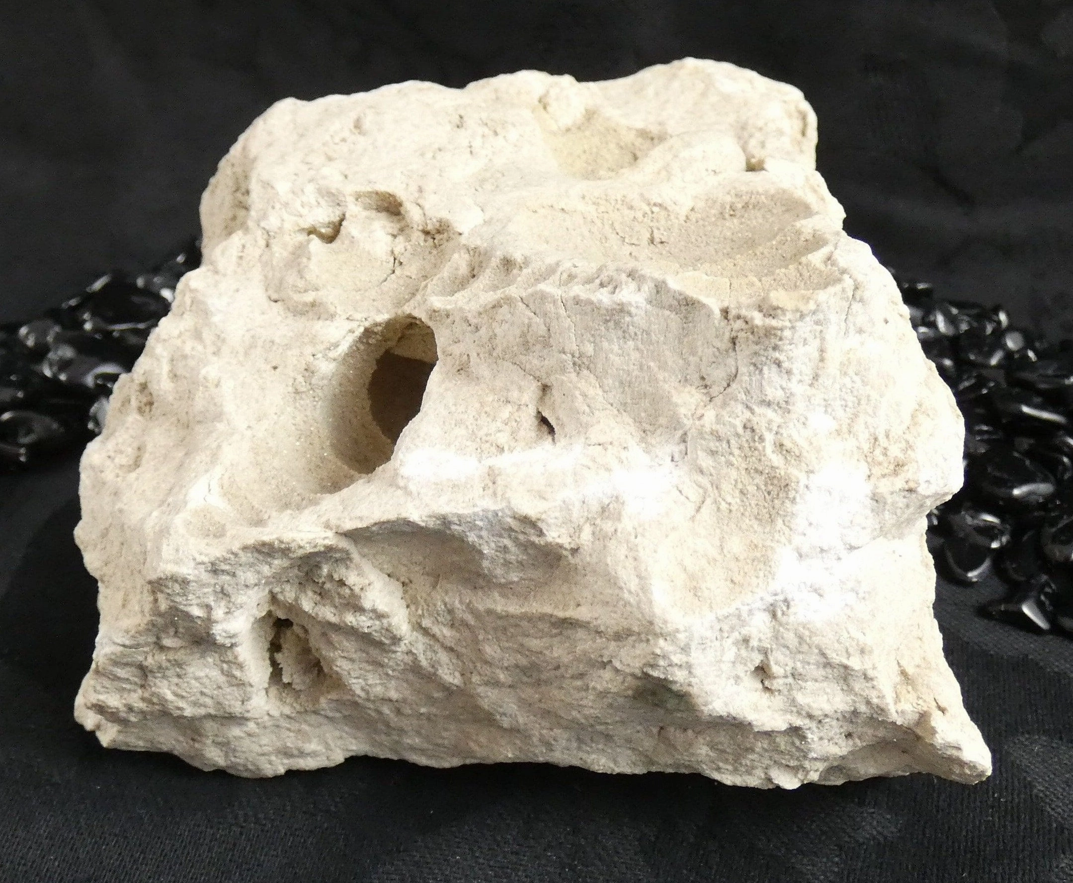 Fossilized Shells & Imprints in Crystallized Matrix