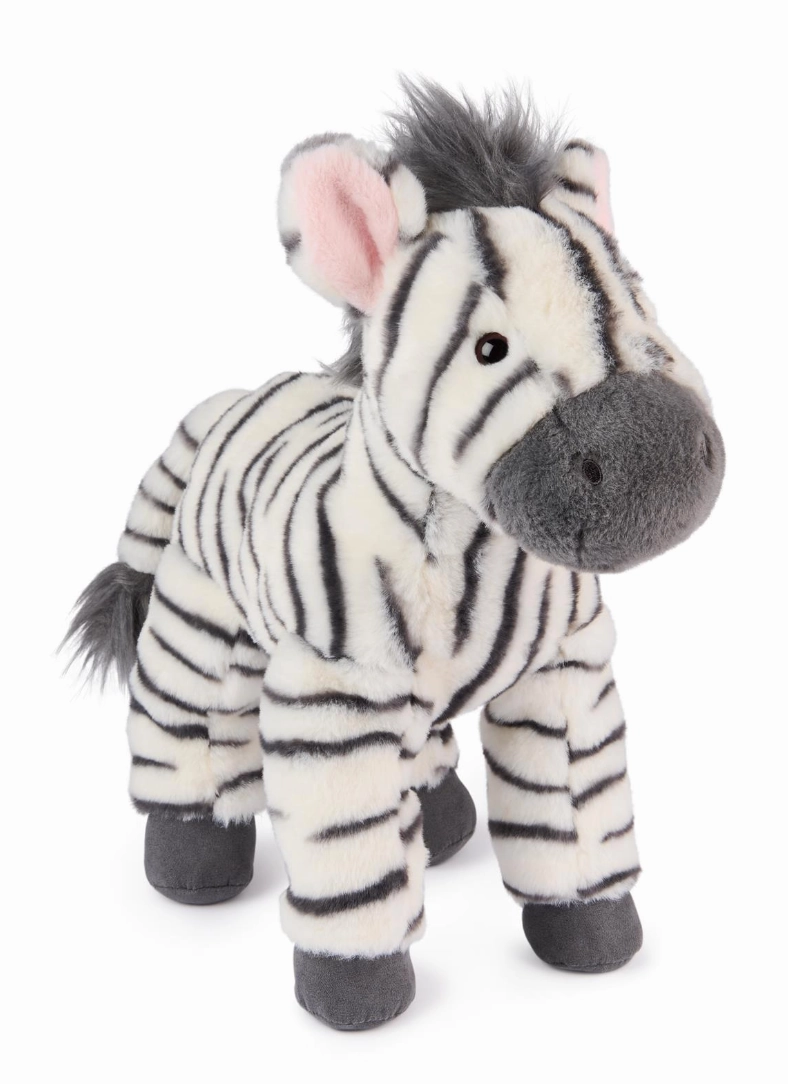Gemma the Zebra, 12 in