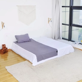 Grounding Sheets - 95% Nature Cotton  5% Silver Fiber - With Grounding Cord, Keep Good Sleep - Natural Healthy (35"x 90", Grey)