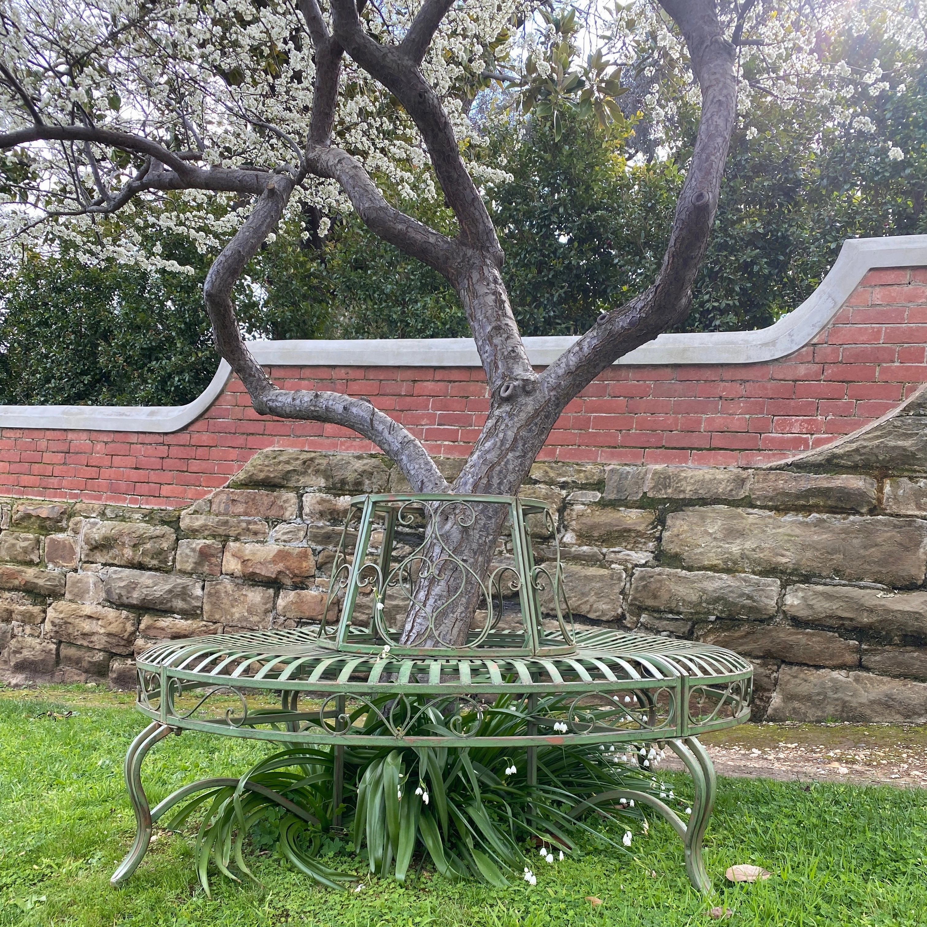 Hazel Tree Surround - Distressed Green