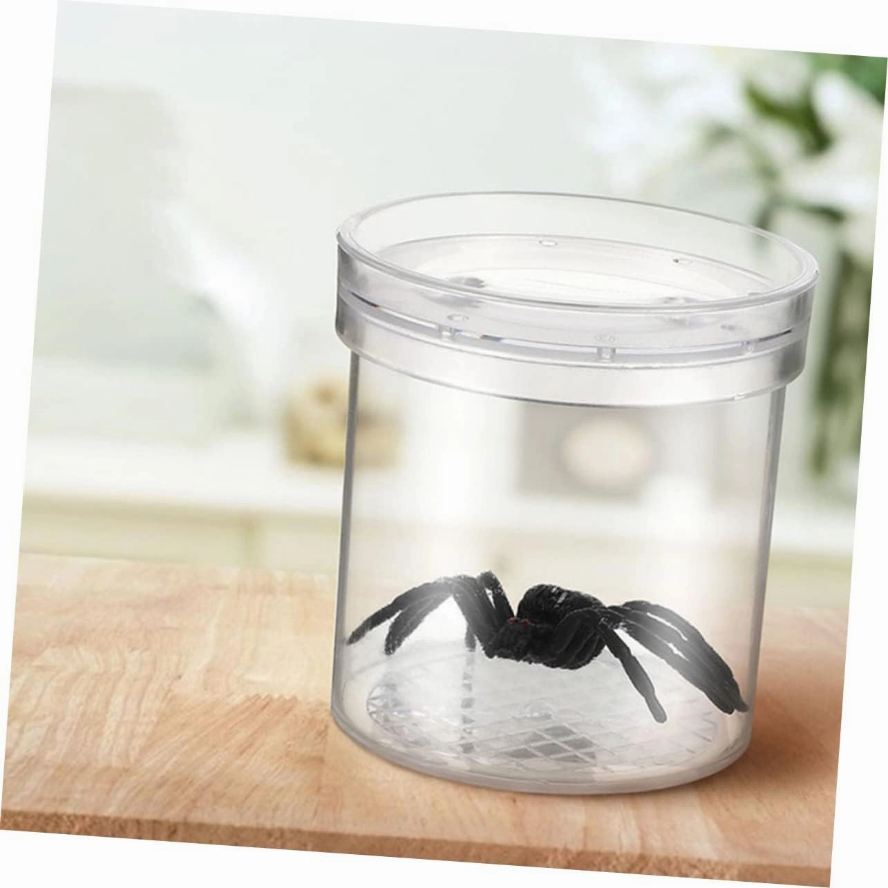 Indoor Observation Box Boys and Girls Habitats Magnifier Box for Boys and Girls Portable Critter