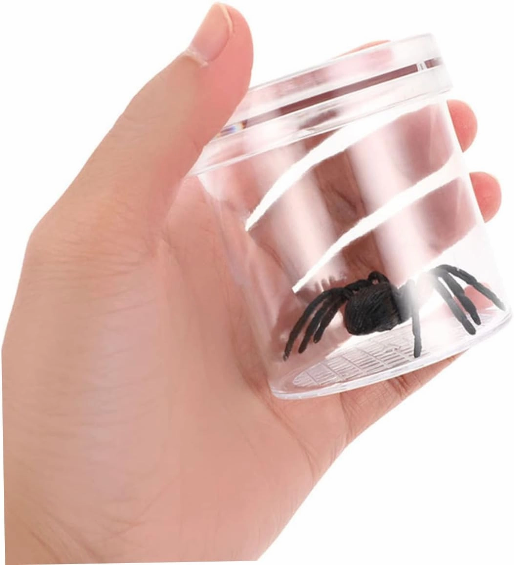 Indoor Observation Box Boys and Girls Habitats Magnifier Box for Boys and Girls Portable Critter