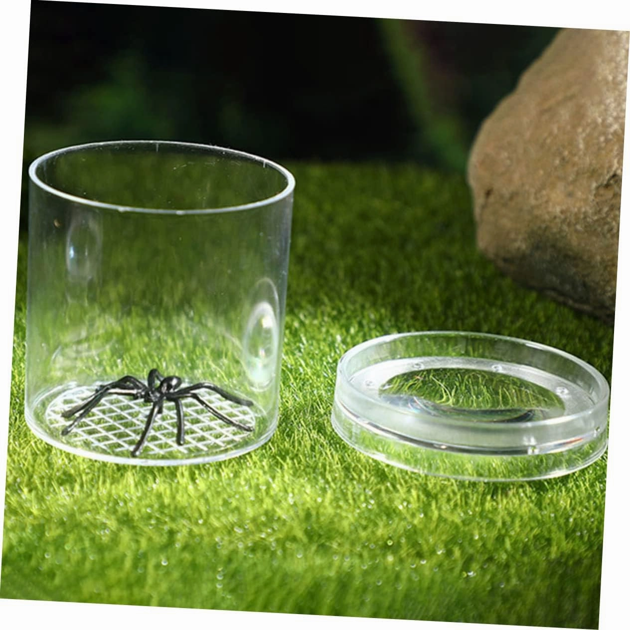 Indoor Observation Box Boys and Girls Habitats Magnifier Box for Boys and Girls Portable Critter