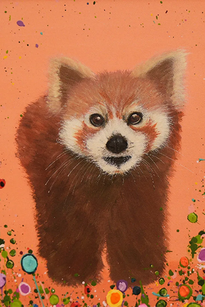 Jo Gough 10x8" Mounted Print - Red Panda
