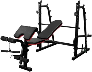 Large Professional Dumbbell Bench Multi-Function Barbell Rack, Fitness Stand,Weight Lifting Rack,Gym Family Fitness Squat Rack,Weight Lifting Bench,Pr
