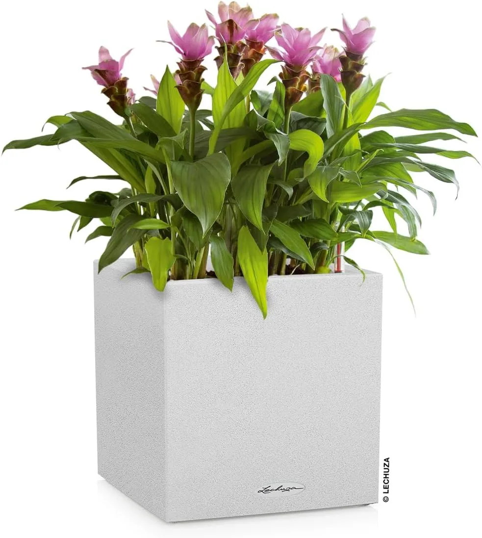 Lechuza 13707 Canto Stone 30 Low Self-Watering Planter for Indoor and Outdoor Use, 12" x 12" x 12", White