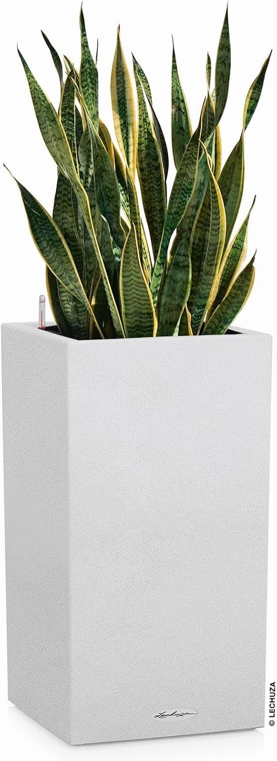Lechuza 13607 Canto Stone 30 High Self-Watering Planter for Indoor and Outdoor Use, 12" x 12" x 22", White