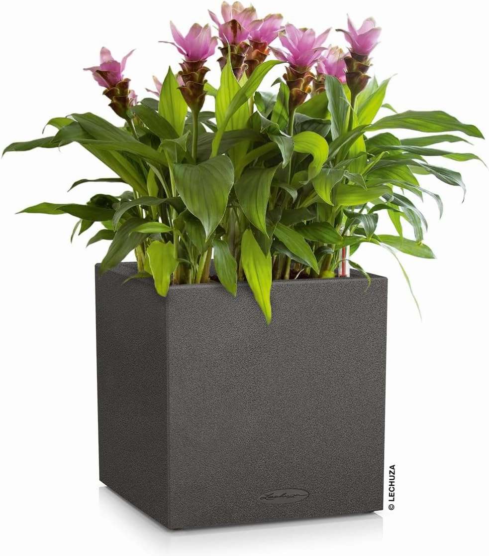 Lechuza 13722 Canto Stone Low Self-Watering Planter for Indoor and Outdoor Use, 16" x 16" x 16", Graphite Black