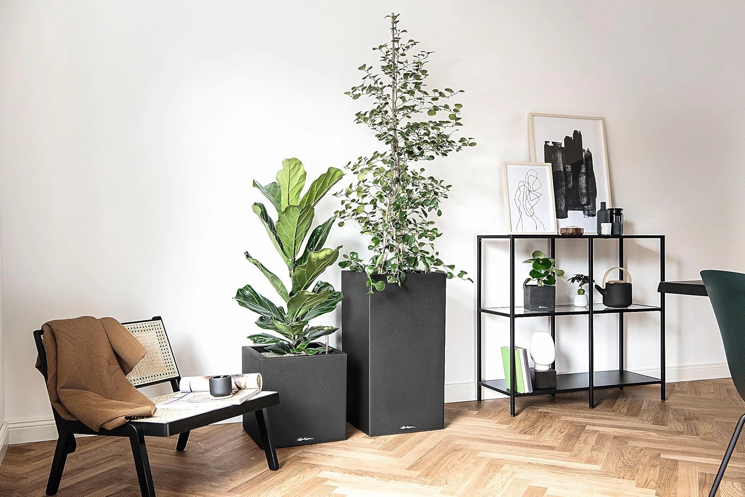 Lechuza 13722 Canto Stone Low Self-Watering Planter for Indoor and Outdoor Use, 16" x 16" x 16", Graphite Black