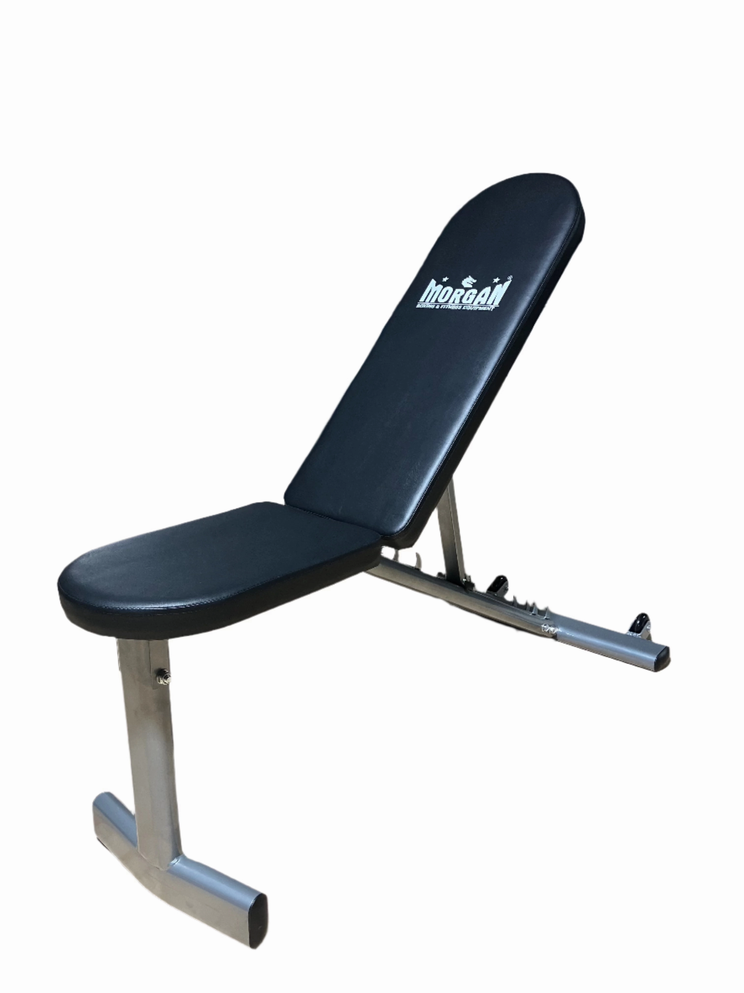 Morgan Adjustable Incline & Decline Workout Bench