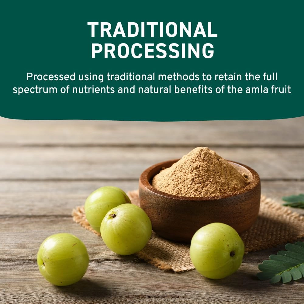 Organic Amla Powder (14oz) Amalaki, USDA Organic, Non-GMO | 100% Raw and Natural - Lab Tested for Purity | Indian Gooseberry Powder | Resealable Zip Lock Pouch