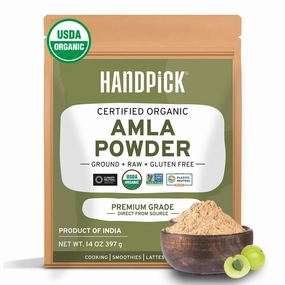 Organic Amla Powder (14oz) Amalaki, USDA Organic, Non-GMO | 100% Raw and Natural - Lab Tested for Purity | Indian Gooseberry Powder | Resealable Zip Lock Pouch
