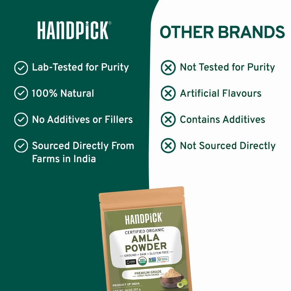 Organic Amla Powder (14oz) Amalaki, USDA Organic, Non-GMO | 100% Raw and Natural - Lab Tested for Purity | Indian Gooseberry Powder | Resealable Zip Lock Pouch