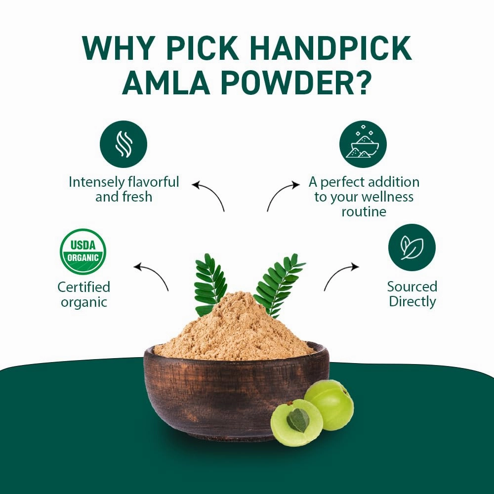 Organic Amla Powder (14oz) Amalaki, USDA Organic, Non-GMO | 100% Raw and Natural - Lab Tested for Purity | Indian Gooseberry Powder | Resealable Zip Lock Pouch