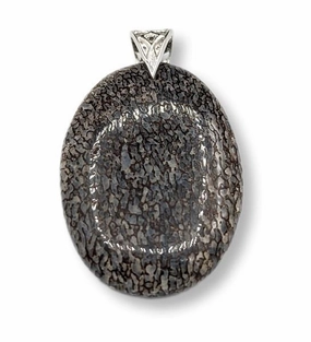 Pendant Dinosaur Bone
