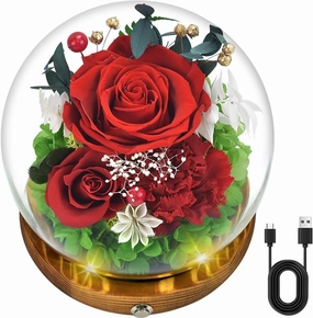 Quimoy Preserved Flowers Gift for Women, Flores Eternas Roses in Glass Dome with LED Lights for Home Decor, Real Flower Gifts for Mothers Day, Birthday, Valentines, Christmas, Wedding(Chargeable)