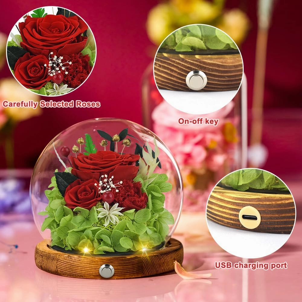 Quimoy Preserved Flowers Gift for Women, Flores Eternas Roses in Glass Dome with LED Lights for Home Decor, Real Flower Gifts for Mothers Day, Birthday, Valentines, Christmas, Wedding(Chargeable)