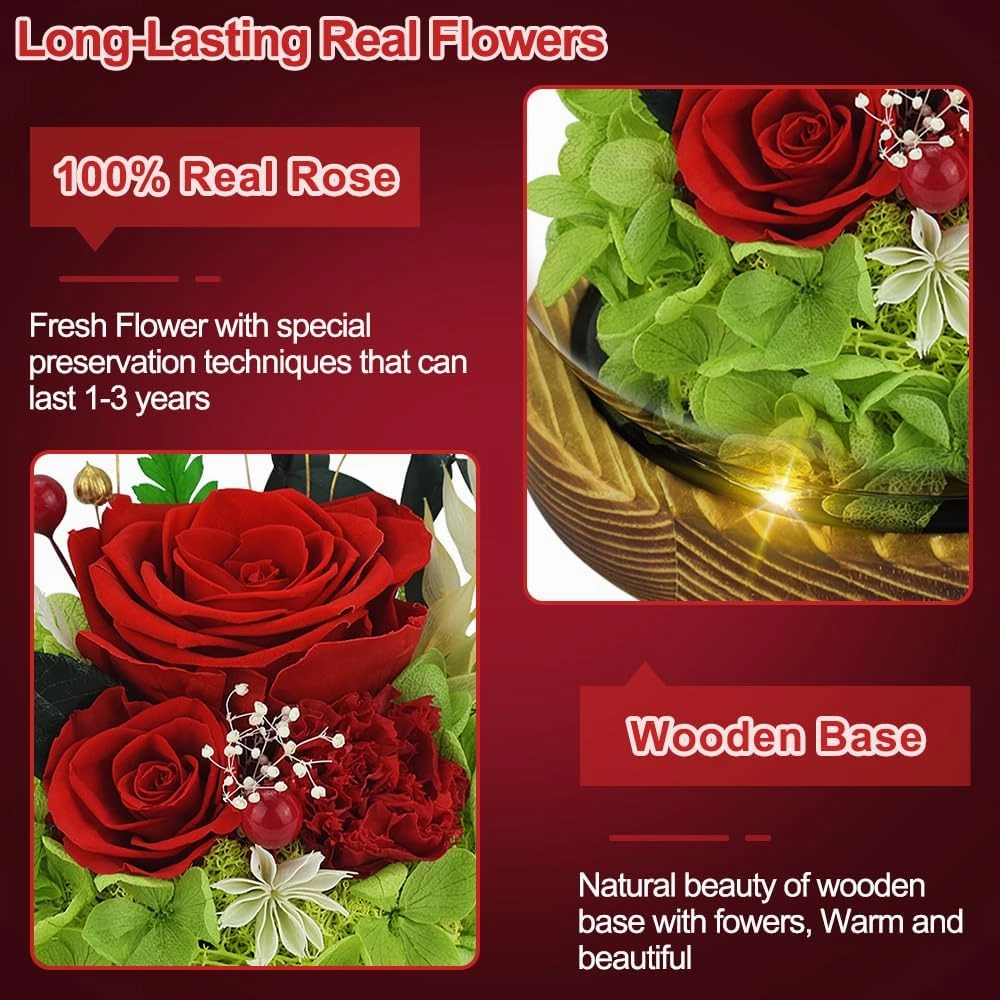 Quimoy Preserved Flowers Gift for Women, Flores Eternas Roses in Glass Dome with LED Lights for Home Decor, Real Flower Gifts for Mothers Day, Birthday, Valentines, Christmas, Wedding(Chargeable)