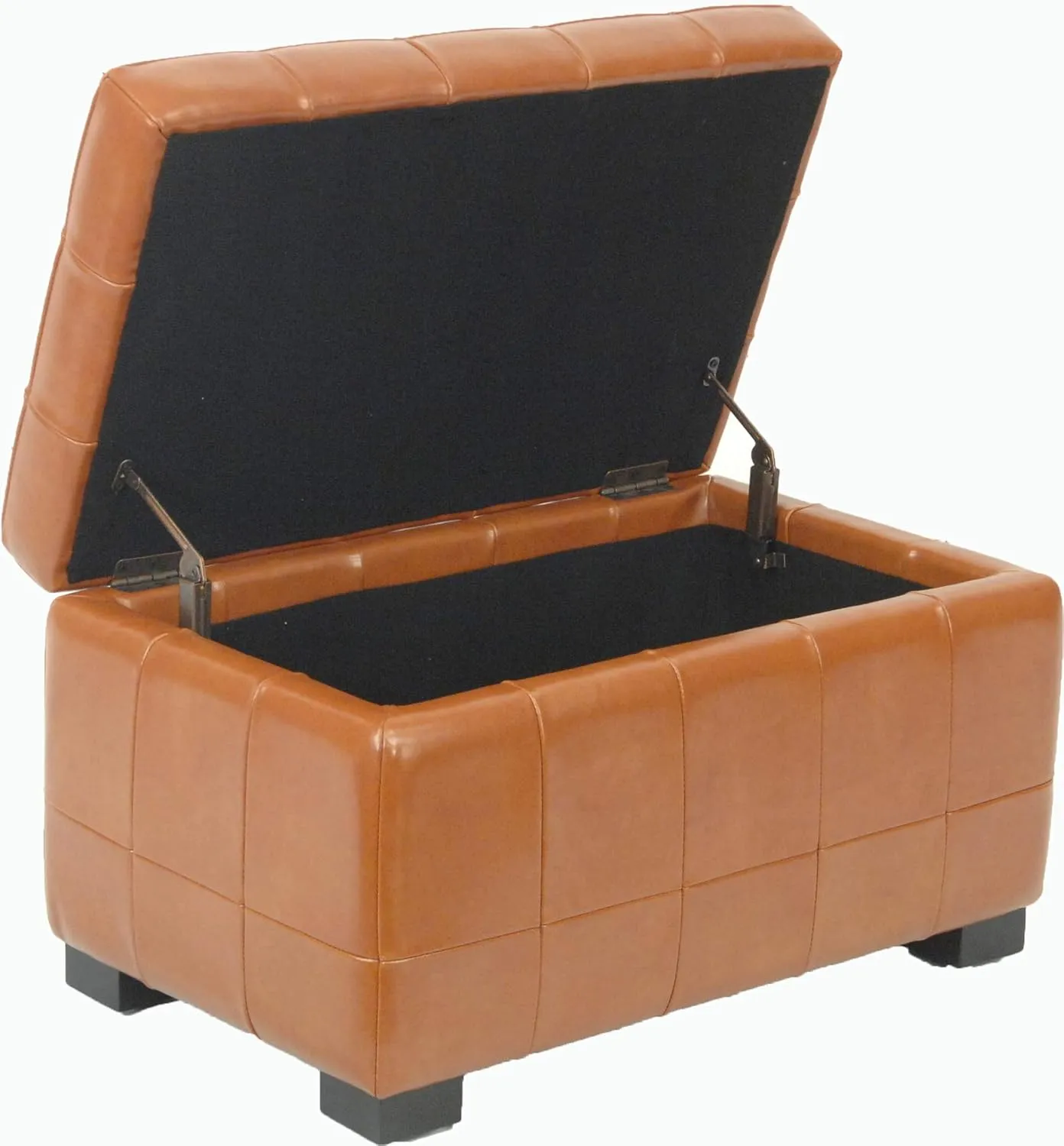 Safavieh Hudson Collection Nolita Leather Small Storage Bench, Saddle