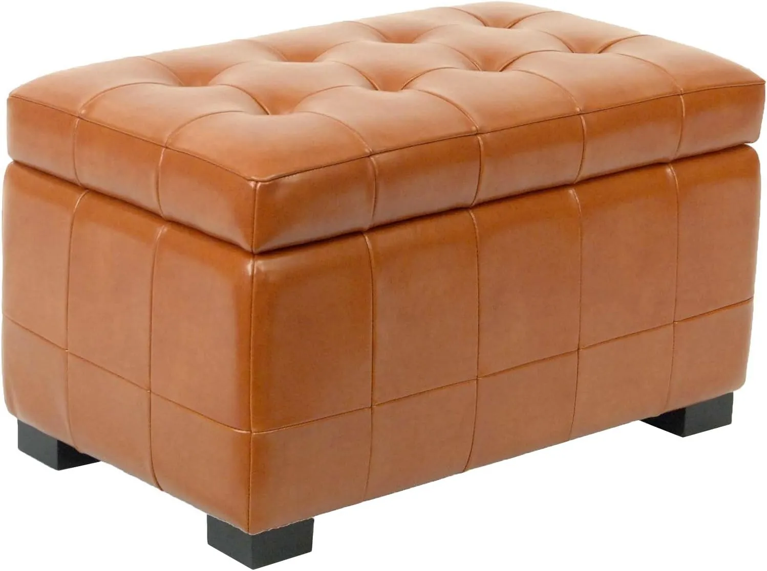 Safavieh Hudson Collection Nolita Leather Small Storage Bench, Saddle