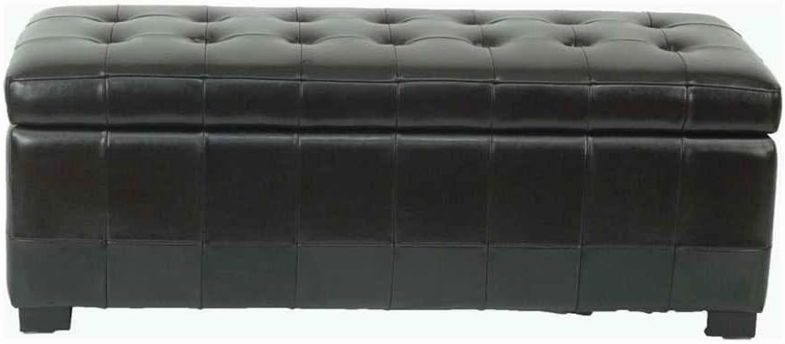 Safavieh Hudson Collection Nolita Leather Large Storage Bench, Black
