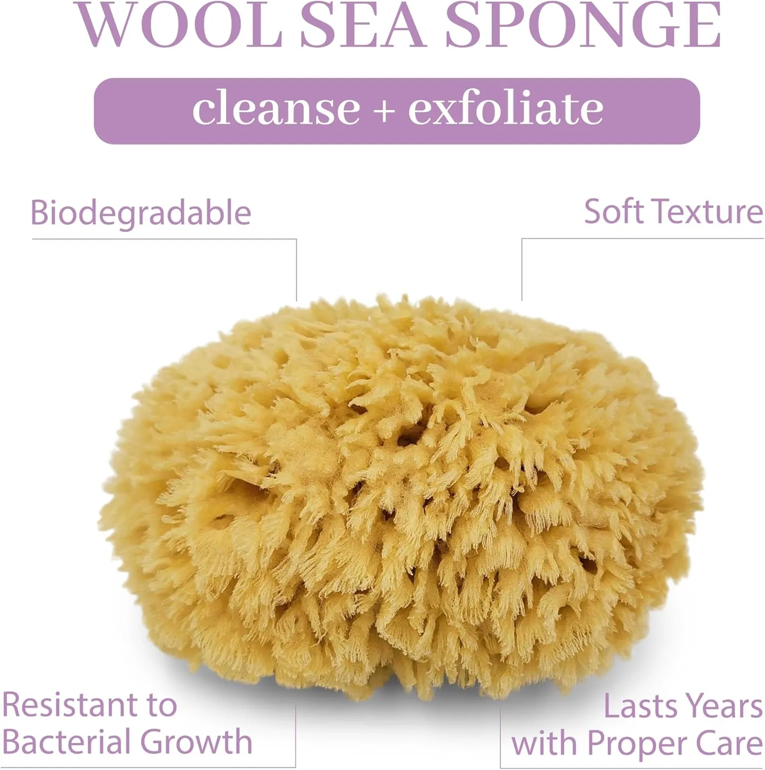 Sea Wool Sponge by Baudelaire 5.5" - Natural Sea Sponges for Bathing - Bath Sea Sponge for Shower - Natural Sea Sponge Loofah | Durable | Sustainable & Environment-Friendly Natural Sponges for Body