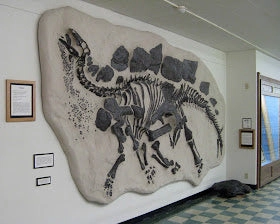 Stegosaurus skeleton dig panel