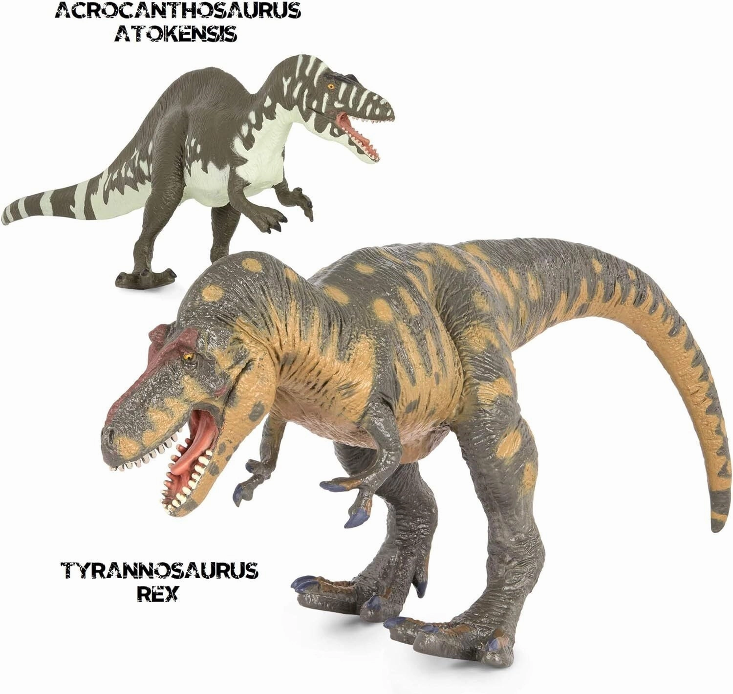 Terra - Dinosaur Set (2)