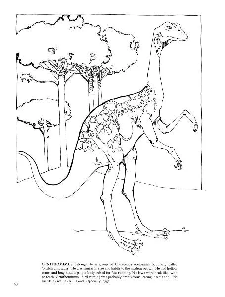 The Dinosaur Coloring Book