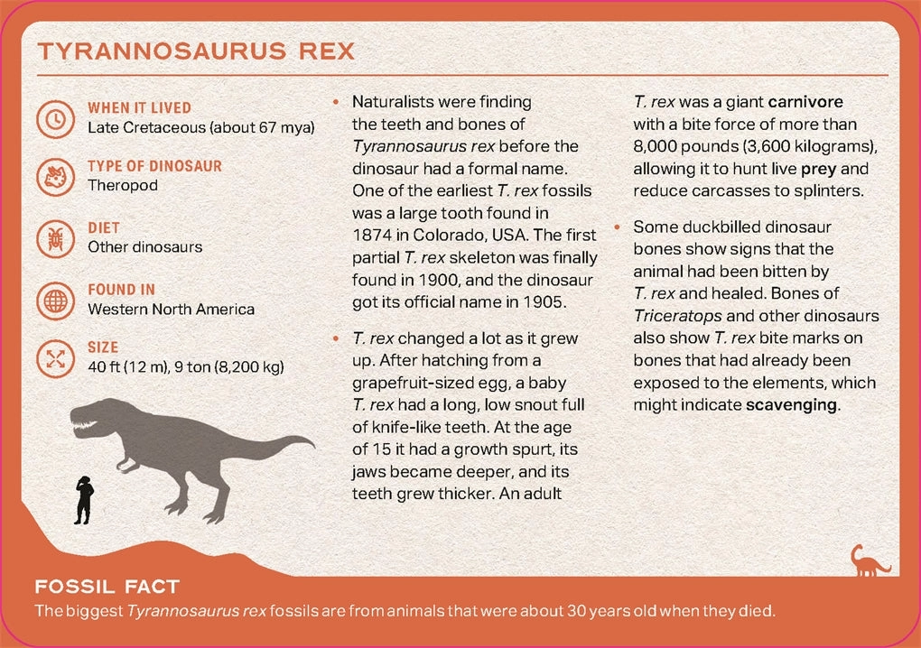 The Dinosaur Deck: 52 Most Fascinating Dinosaurs and Other Prehistoric Reptiles