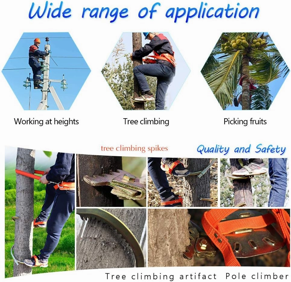 Tree Climbing Spikes, Tree Climbing Gear for Tree Work, Non-Slip Climbing Trees Tool with Safe Belt for Climbing Hunting Observation Picking Fruit,300model