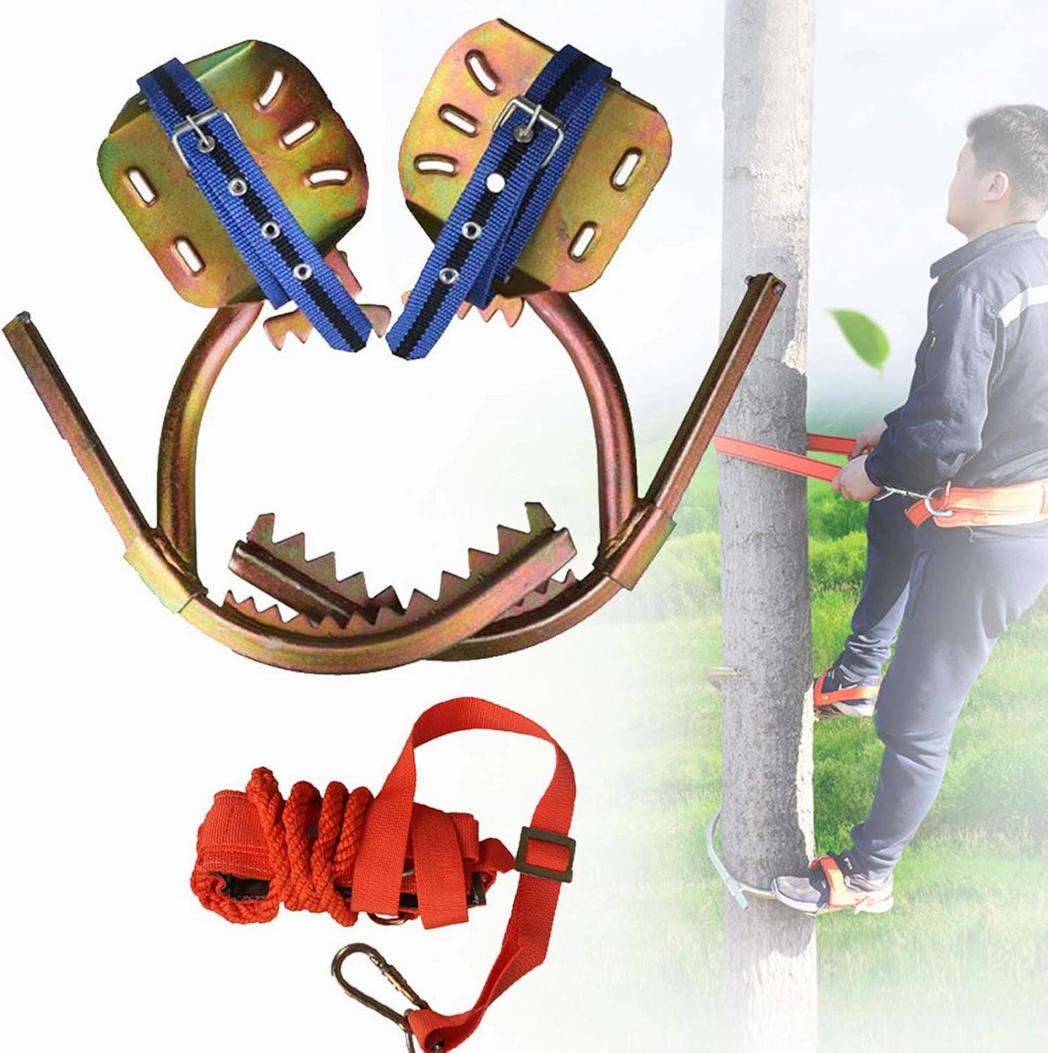 Tree Climbing Spikes, Tree Climbing Gear with Safe Belt, Simple to Use Climbing Tool, Rust-Proof and Wear-Resistant, Tree Climbing Tool for Hunting Observation, Picking Fruit,300model